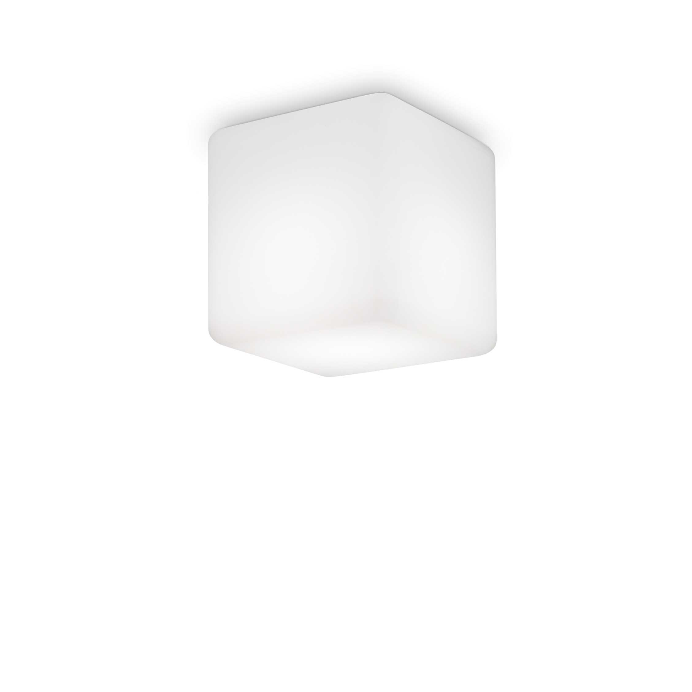 213200_WEB001_LUNA_PL1_SMALL